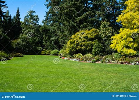 Beautiful Trees And Green Grass In The Garden Stock Image Image Of