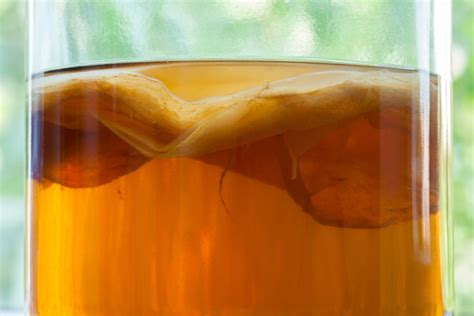 6 awesome alternative uses for kombucha tea organic authority