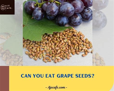 Can You Eat Grape Seeds Grapes Benefits Grapeseed Seeds Benefits
