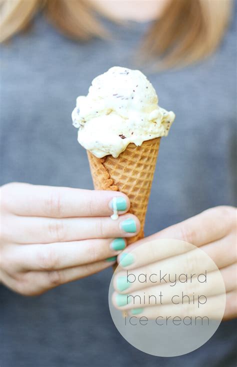 Backyard Mint Chip Ice Cream Luluthebaker Flickr