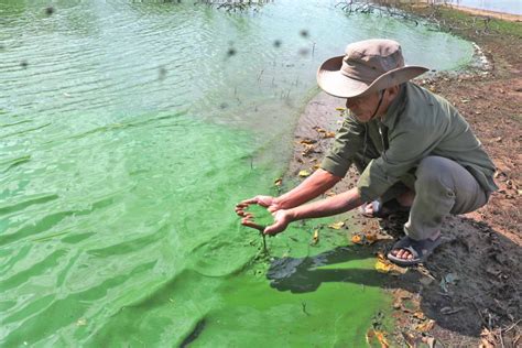 Cảnh báo ô nhiễm nguồn nước mặt ở Gia Lai Kỳ Ô nhiễm cục bộ Tinhgialai vn