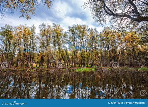 Autumn On River Western Siberia Stock Image Image Of River Seasons