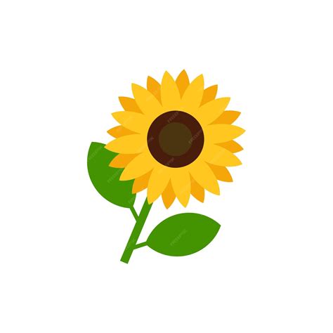 Premium Vector Sunflower Vector Illustration Isolated On White Background
