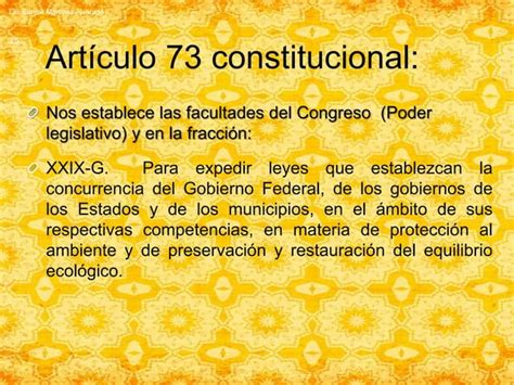 Bases Constitucionales Derecho Ambiental Ppt