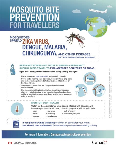 Mosquito Bite Prevention Globetravelhealthca