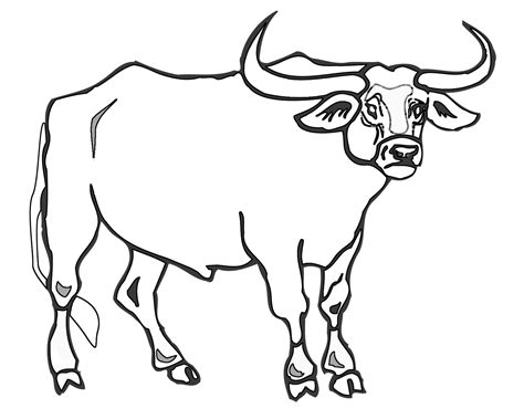 Ox Printable Coloring Page