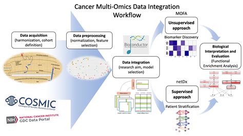 Ijms Free Full Text A Detailed Catalogue Of Multi Omics