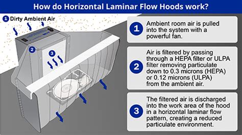 What Is A Horizontal Laminar Flow Hood Tutorial Pics