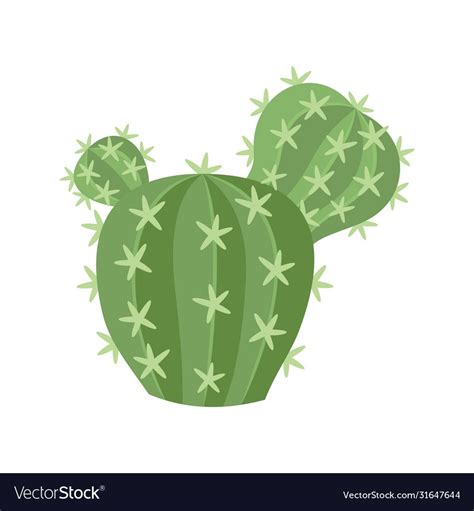 Cactus And Succulent Colorful Cartoon Vector Illustration Decorative