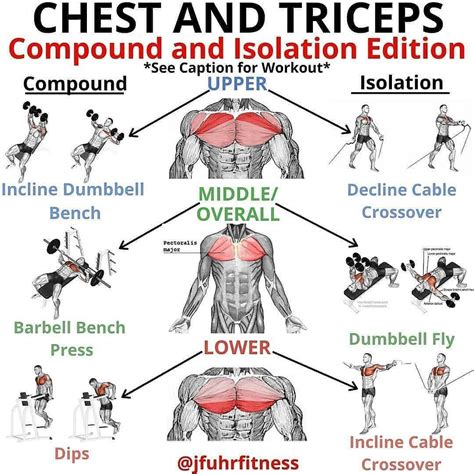 30 Minute Chest And Tricep Workout Routine For Definition For Push Your