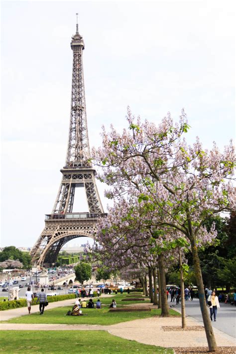 Top 10 Must See Attractions In Paris Wanderzest