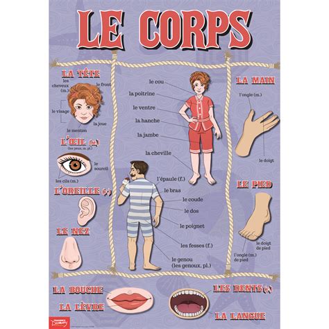 Body Parts French Poster New For Spring Teachers Discovery