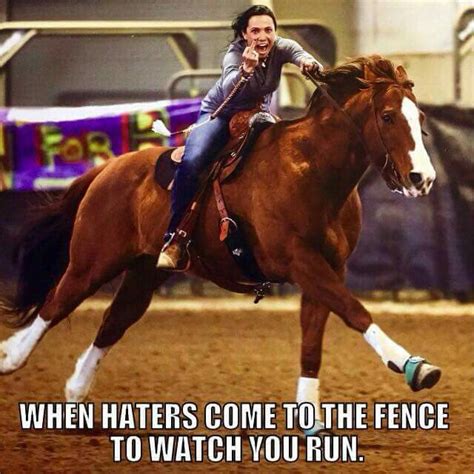 Pin By Elisabeth Commins On Horses And Tack And Cowgirls Funny Horse