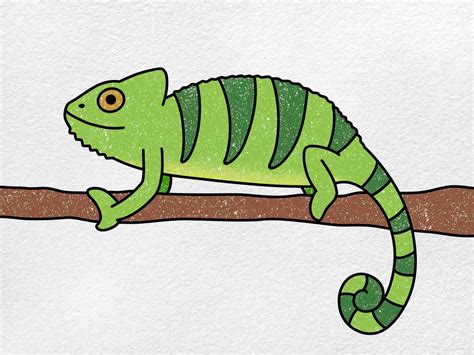 How To Draw A Chameleon Helloartsy