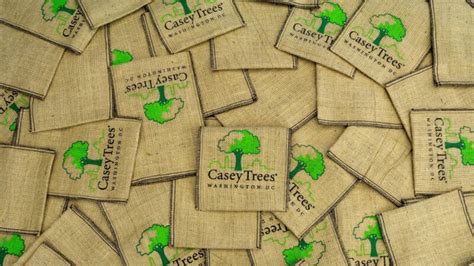 Casey Trees Treesynergy