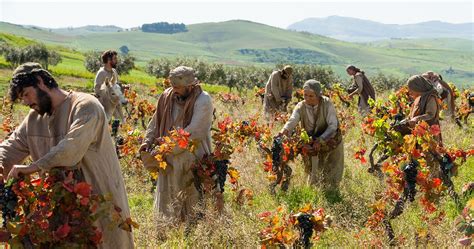 Jesus Christ Parables Laborers In The Vineyard