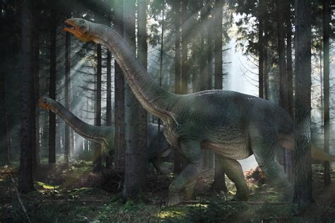 Wallpaper Dinosaur Mesozoic Era Walk Forest 1944x1296 Wallup