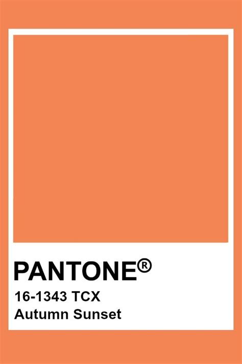 Pantone Autumn Sunset Pantone Color Chart Pantone Colour Palettes