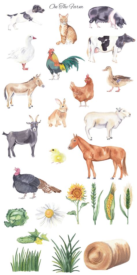 Free Vector Farm Animals Cartoon Icons Set Of Hen Gobbler Cow Horse Ram
