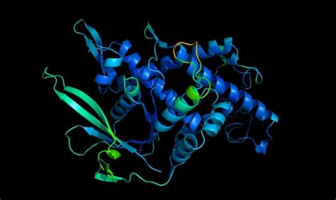 Deepmind Alpha Fold Solves The Mystery Of Protein Folding Postzzal