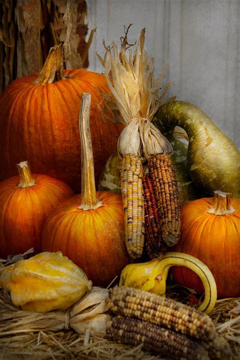 Autumn Gourd Pumpkins And Maize Photograph By Mike Savad Fine Art