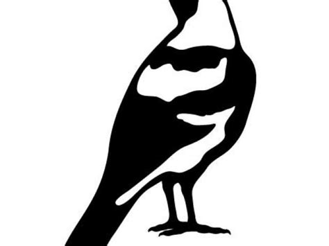 Magpie Clipart Images 10 Free Cliparts Download Images On Clipground 2024
