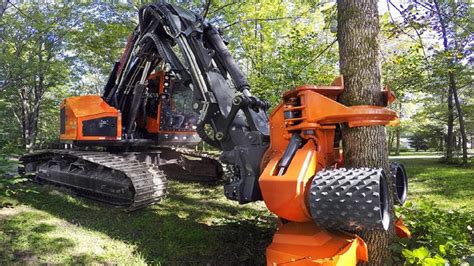 Dangerous Fast Chainsaw Cutting Tree Machines Excavator Felling