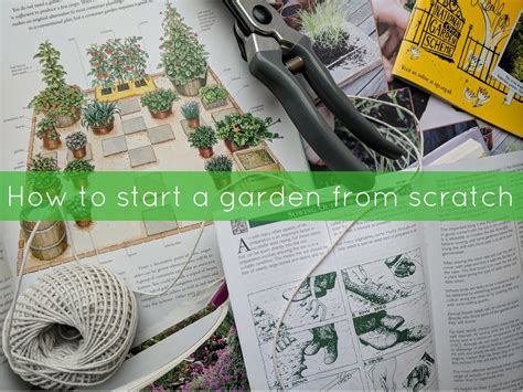 Jibberjabberuk How To Start A Garden From Scratch