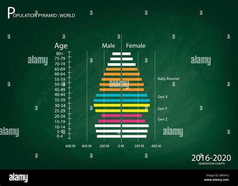 Population And Demography Illustration Of Population Pyramids Chart Or