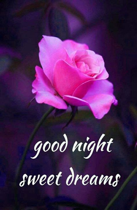 Good Night Images Wallpaper Pics With Rose2 With Images Good Night