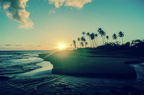 Exotic Tropical Sunset By Jaminwell