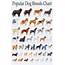 Popular Dog Breeds Chart 18x28 45cm/70cm Canvas Print