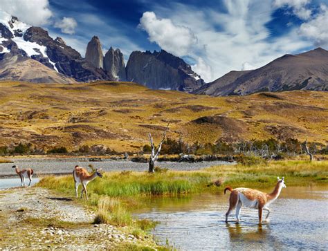 Walking Holidays In Argentina And Chile Highlights Of Patagonia