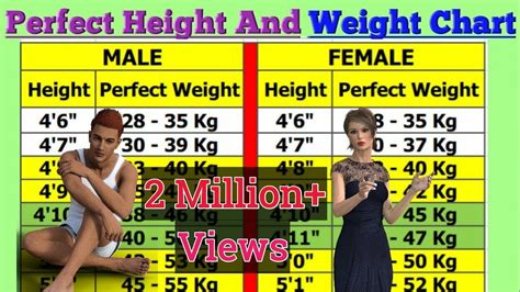 178 cm / 5 ft 11 in. Perfect Height And Weight Chart For Men And Woman. - YouTube