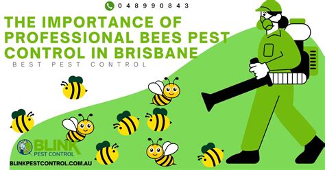 Effective And Affordable Bees Pest Control Solutions In Brisbane