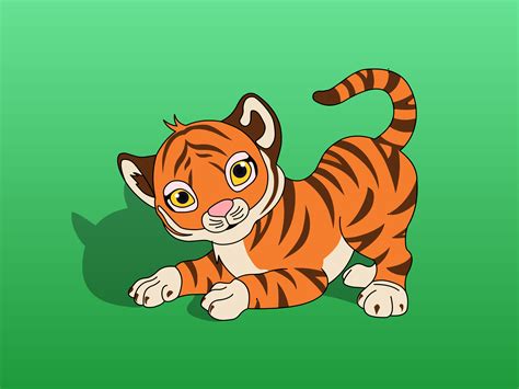 Cómo dibujar un tigre bebé 7 pasos con fotos