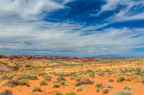 Importance Of Maintaining Our Deserts Lonestar Investment