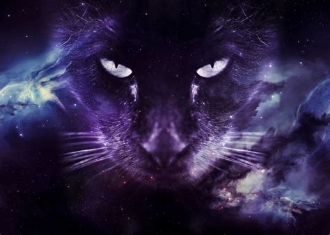Galaxy Cat Face Wallpaper Poster By Mk Studio Displate