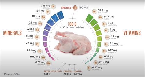 Can We Eat Boiled Chicken Daily Chicken India