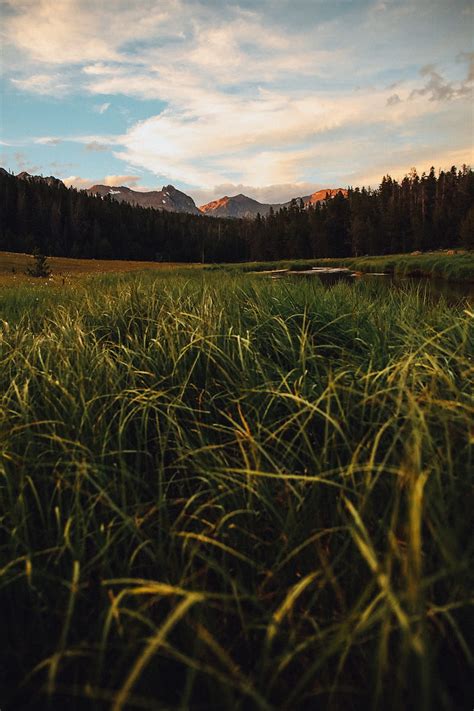 Mountains Forest Grass Lake Hd Phone Wallpaper Peakpx