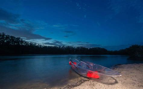 You Can Paddle Through Florida's Bioluminescent Waters in a See-through Kayak | See through 