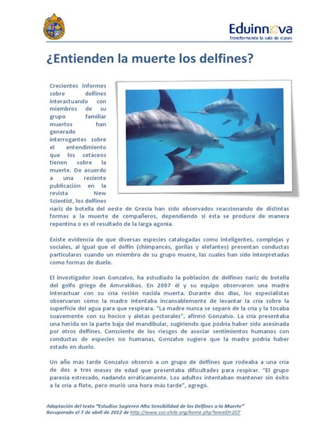 05 Texto Impreso Entienden La Muerte Los Delfines Texto Cientifico