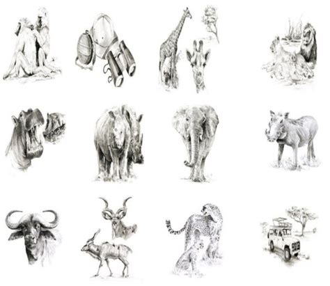Learn To Sketch 12 African Animals Artist Book Drawing Pencil Set Skb1