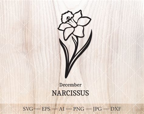 Narcissus Svg December Birth Flower Svg Birth Month Flower Etsy