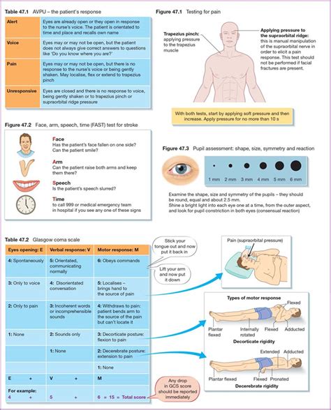 Describe The Components Of A Full Neurological Assessment