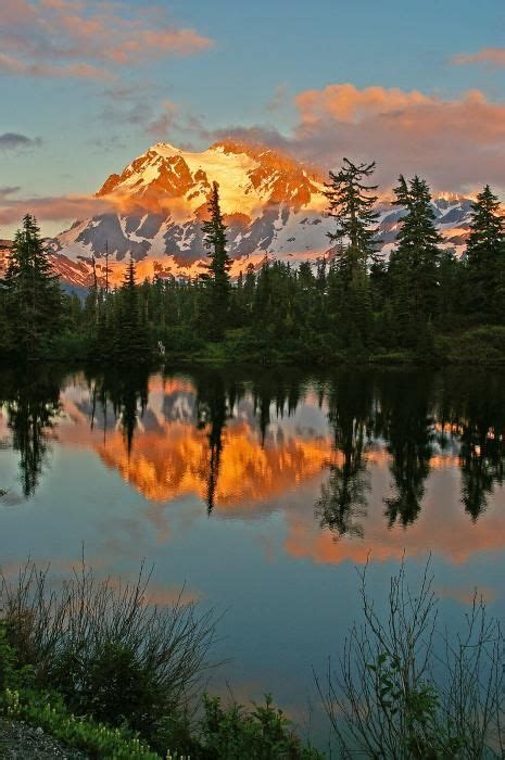 Mount Shuksan North Cascades National Park Washington Photo By