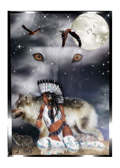 Native American Wolf Indian Quotes Loup Wolves