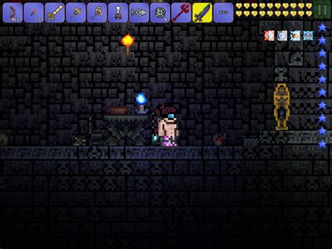 Princess Dress Invisible Yes My Char Is Naked Terraria Community