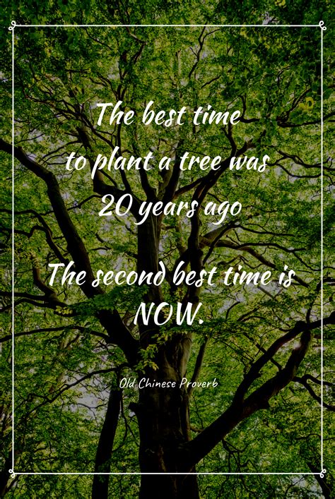 Nature Quotes, Save Nature | Nature quotes, Save nature ...