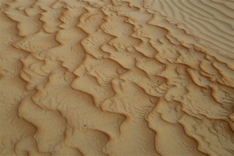 Ripple Marks 3 Sharqiya Sands Pictures Oman In Global Geography